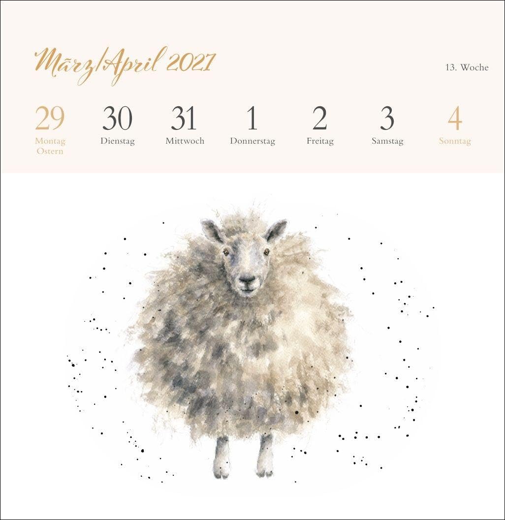 Hannah Dale: Happy Animals Premium-Postkartenkalender 2027: Die schönen Tierzeichnungen der britischen Künstlerin in einem kleinen Kalender zum Aufstellen. Wochenkalender mit 53 Postkarten