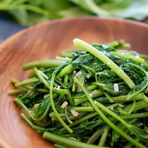 Miniatura 4 de Gaea's Blessing Semillas Ong Choy Seeds - Kong Xin CAI Kangkong - Semillas sin OMG con instrucciones de plantación fáciles de seguir 94% de tasa de