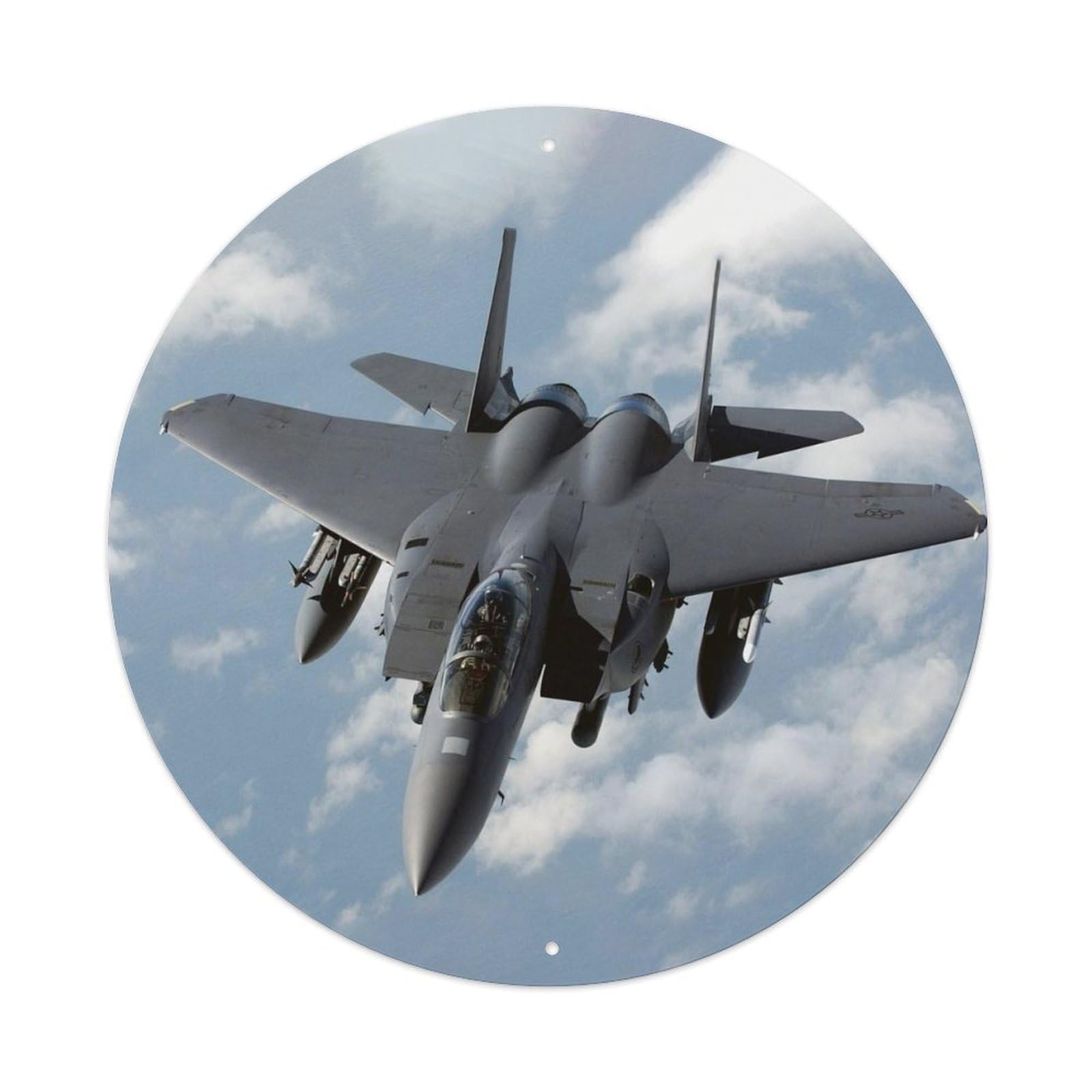 F-15E Strike Eagle Fighter Jet Military Aviation Metal Tin Sign