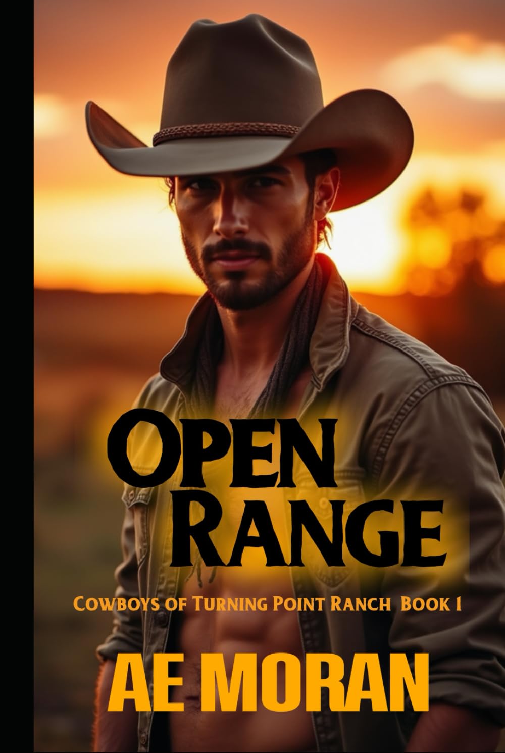 Open Range: A Steamy Contemporary Cowboy Western Alpha Male Workplace Romance (Cowboys of Turning Point Ranch Series)