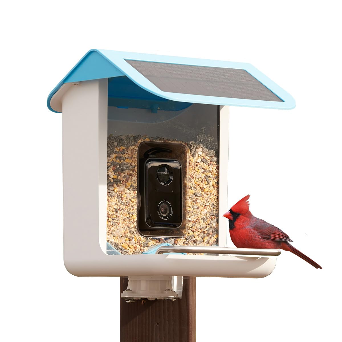 ◆のりしお◆ Video Camera Bird Feeder by Sharper Image @ SharperImage.com
