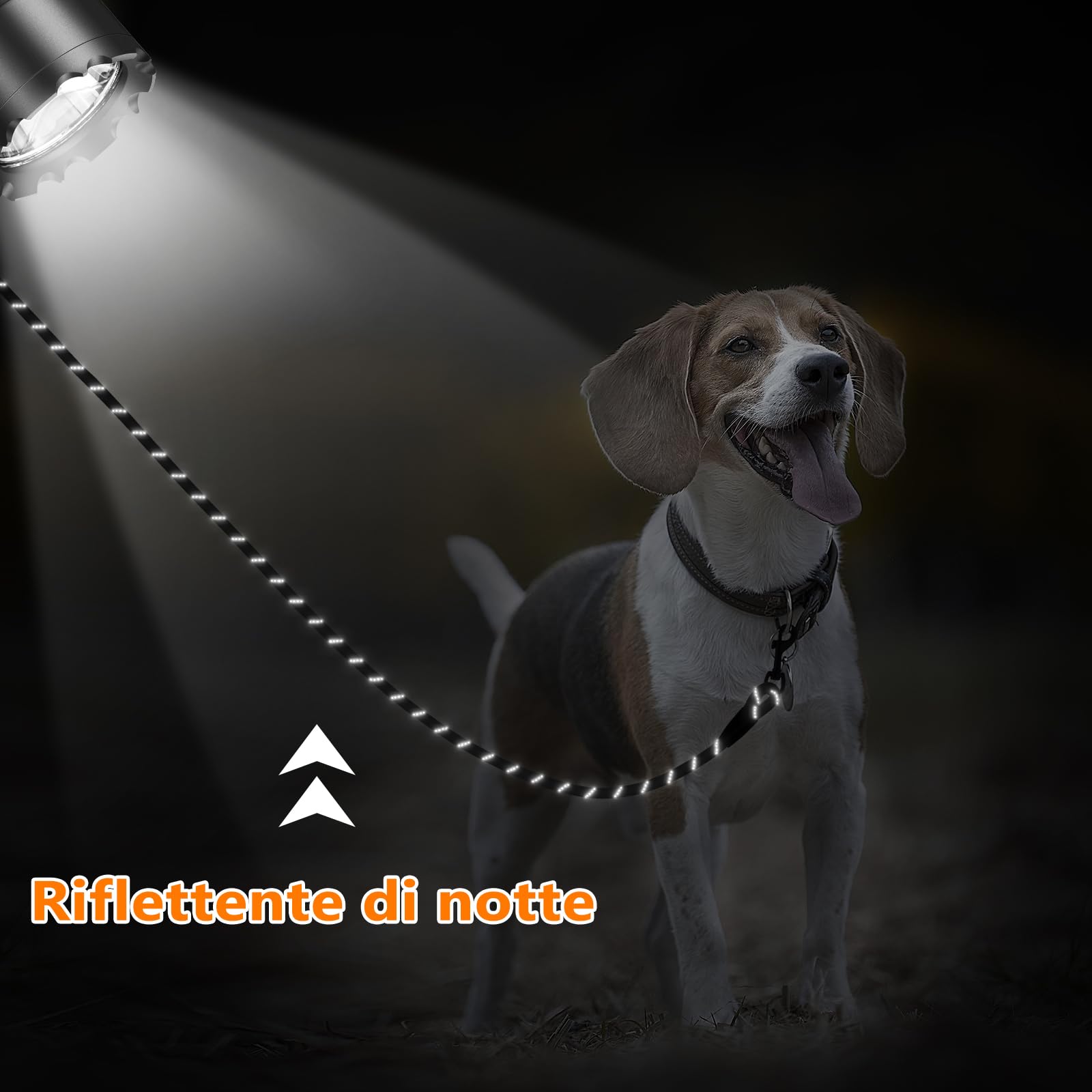 Aystkniet Guinzaglio da Addestramento per Cani, 5M 10M 15M 20M 30M Guinzaglio per Cani con 2 Ganci Girevoli e Fili Riflettenti, Guinzaglio Cane di Taglia Media e Grande, Corda da Legare per Cortile