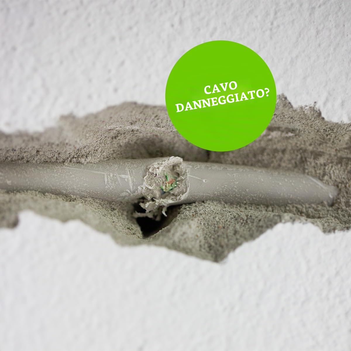 WAGO 2773 – 2401 | per conduttori a filo singolo e multifilo, max. 4 mm², 2 conduttori, trasparenti, 100 pezzi | Connettori trasparenti a 2 conduttori per sezioni fino a 4 mm quadrati, installazione rapida senza attrezzi a innesto