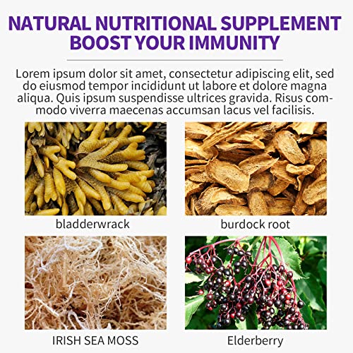 Sijigood 2 Pack Organic Irish Sea Moss Gummies With Elderberry, Bladderwrack, Burdock, Apple Cider Vinegar, Chlorophyll, Natural Deodorant Digestion Energy Skin Hair & Immunity, Adults Kids Women Men #TOP3