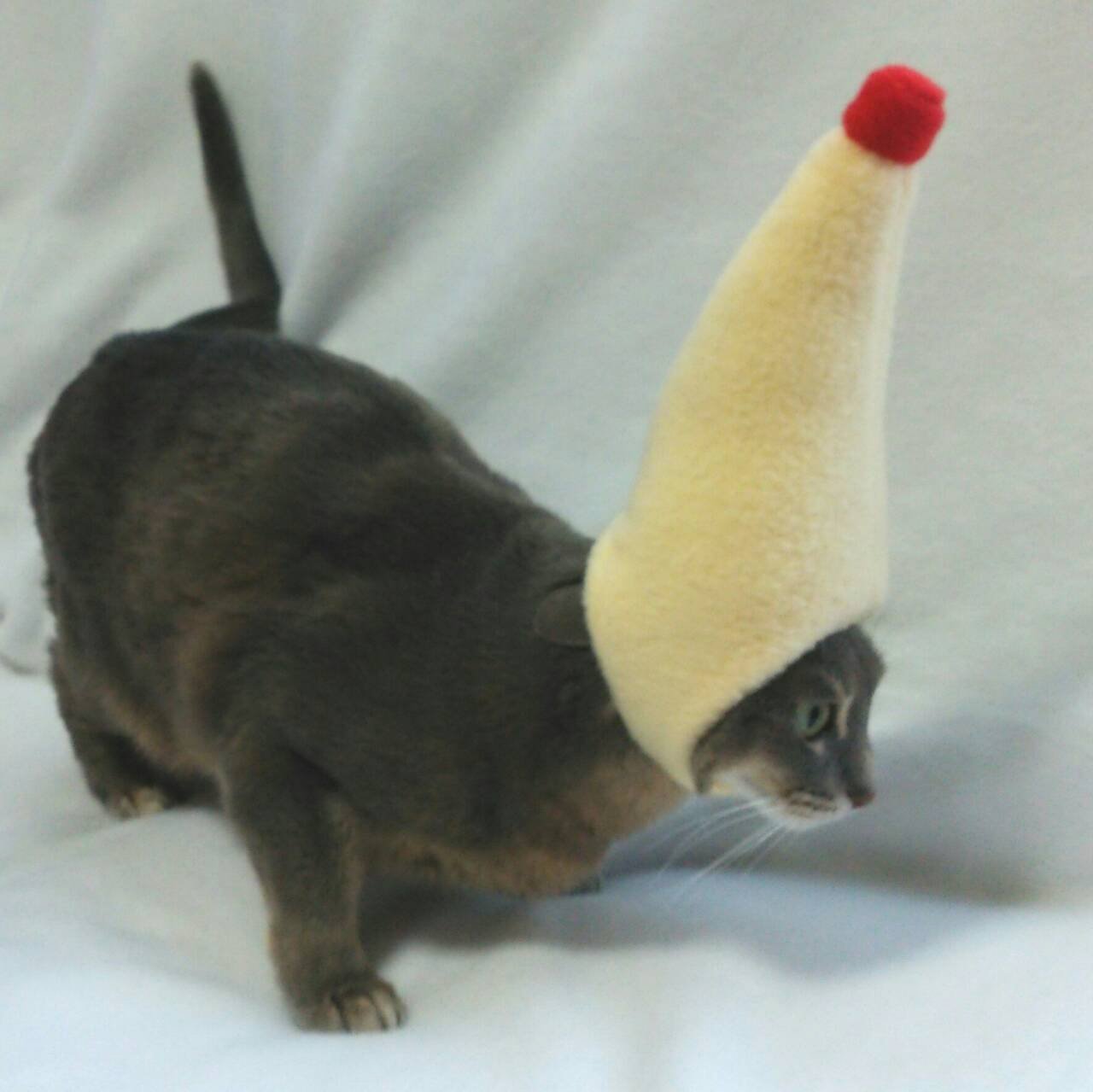 Amazon | 犬猫用コスプレ マヨネーズのかぶりもの（帽子） (L