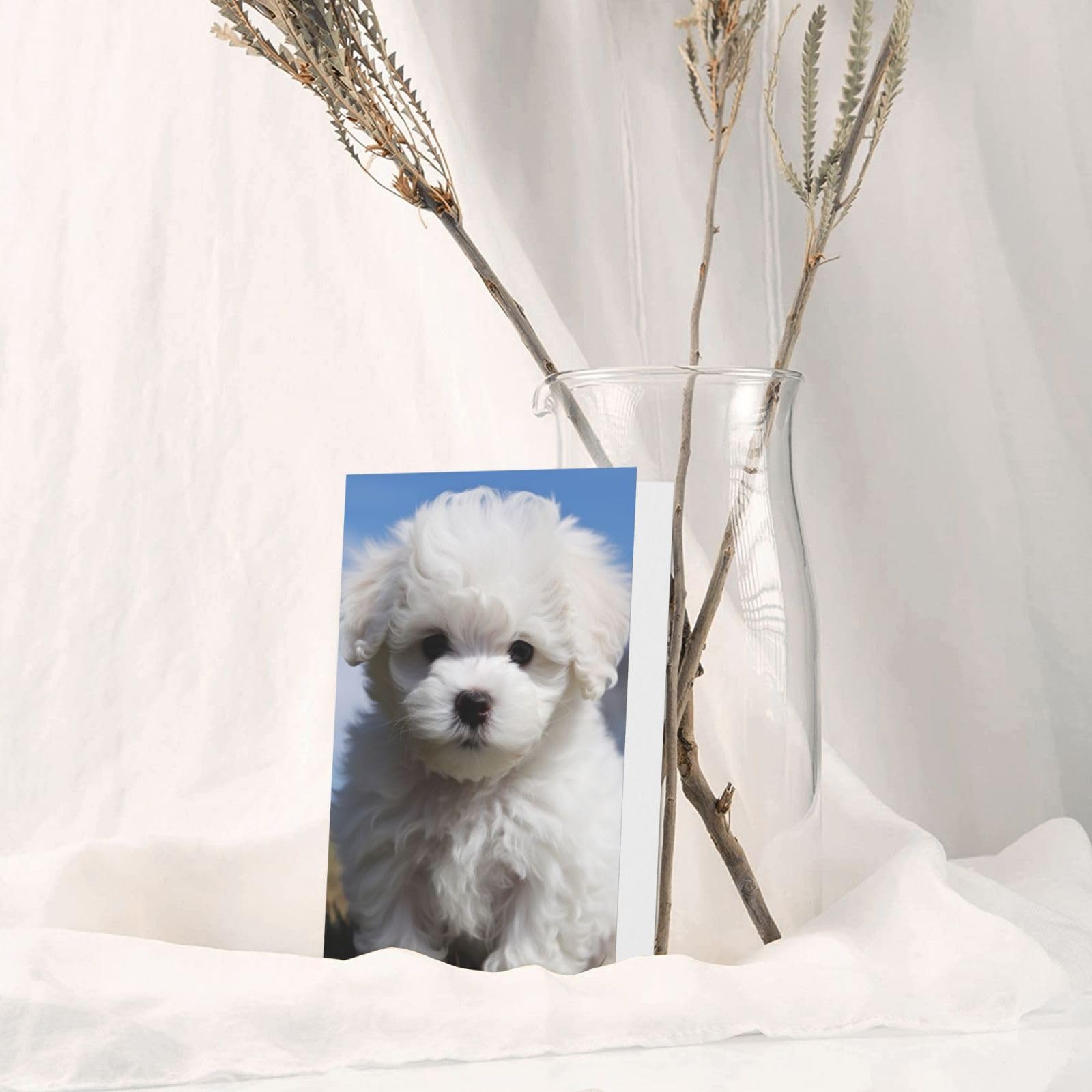 Amazon.co.jp: GDSHJKLW ビションフリーゼ 犬 ブランク グリーティング