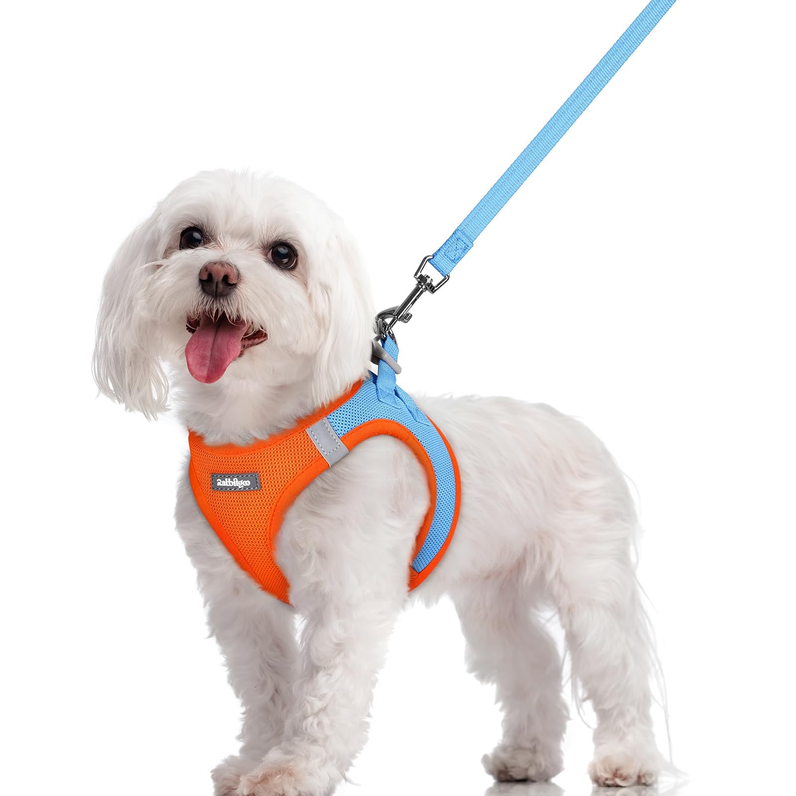 rabbitgoo Dog Harness Medium Sized and Leash Set, Step-in Puppy Pet Vest