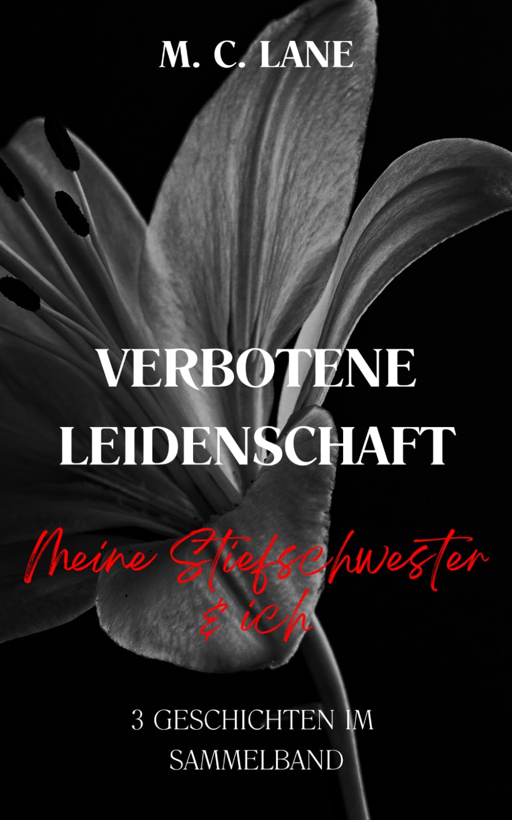 Verbotene Leidenschaft – meine Stiefschwester & ich: 3 erotische Kurzgeschichten im Tabu-Sammelband (VERBOTEN – Die Sammelbänder tabuloser Leidenschaft)