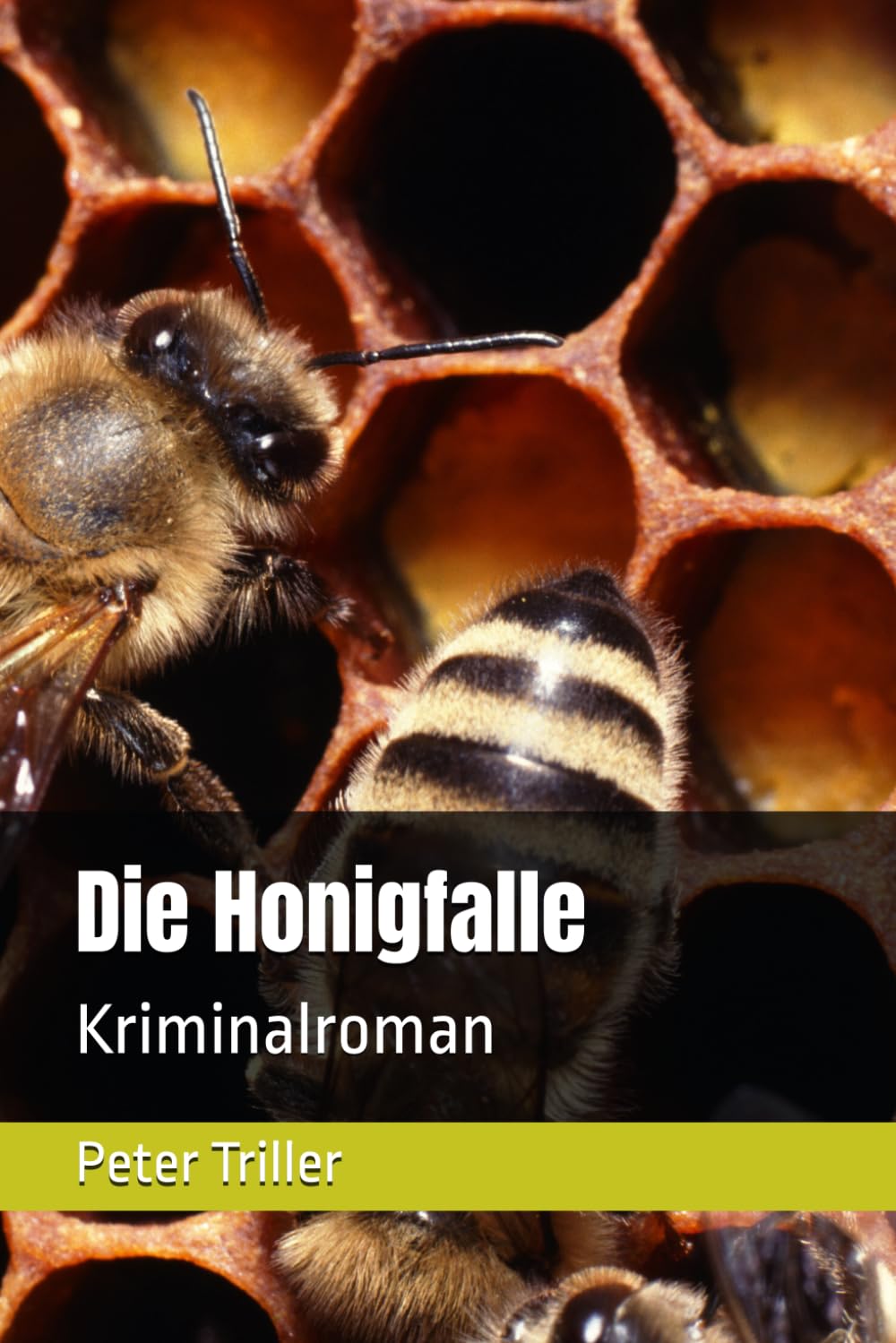 Die Honigfalle: Kriminalroman (Die Kriminalfälle von Marc Düwall)
