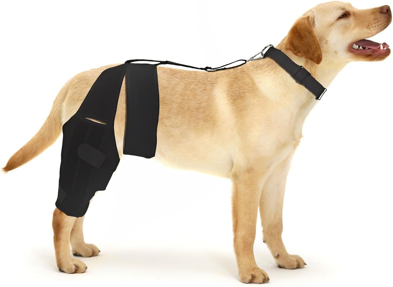 Dog Knee Brace with Side Stabilizers - Support for Dog ACL CCL Cruciate Ligament Injury Joint Pain and Muscle Sore?Size M