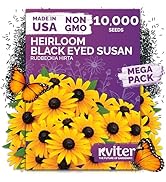 Small manufacture image 12