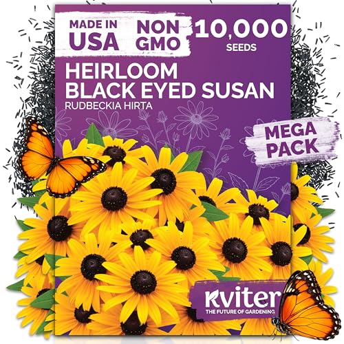 KVITER 10,000 Black Eyed Susan Seeds for Planting (Rudbeckia hirta) – Gloriosa Daisy Wildflower Seed, Heirloom, Non-GMO & Organic – Flower Seeds to Plant Outside & Inside, Borders, Containers