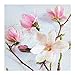 Produktbild PAPER + DESIGN Frühjahr Lunchservietten Design Magnolie 33x33 cm