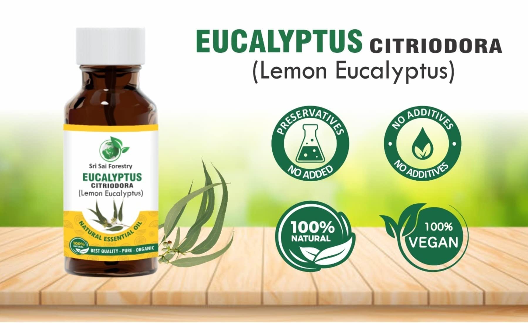 SRI SAI FORESTRY Eucalyptus Citriodora Oil β Lemon Eucalyptus - 100 ML Refreshing Lemon Scent for Aromatherapy 1
