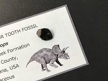 恐竜・爬虫類切手×52枚 恐竜・爬虫類切手×52枚