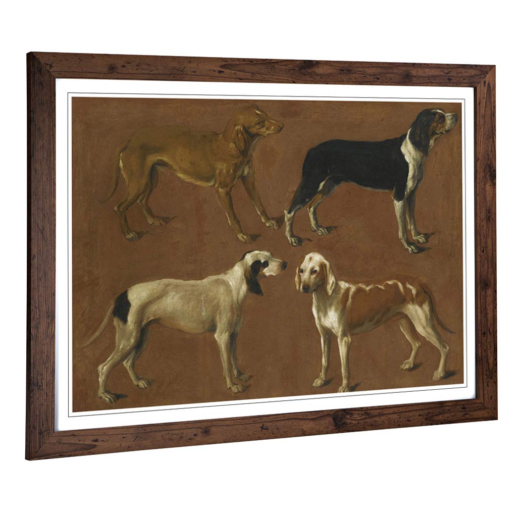 Big Box Art Framed Print of Jacques-Laurent Agasse Hounds Design | Wall Art Picture | Home Decor for Kitchen, Living, Dining Room, Bedroom, Hallway, Office, Walnut, A2 / 24.5x18 Inch / 62x45cm