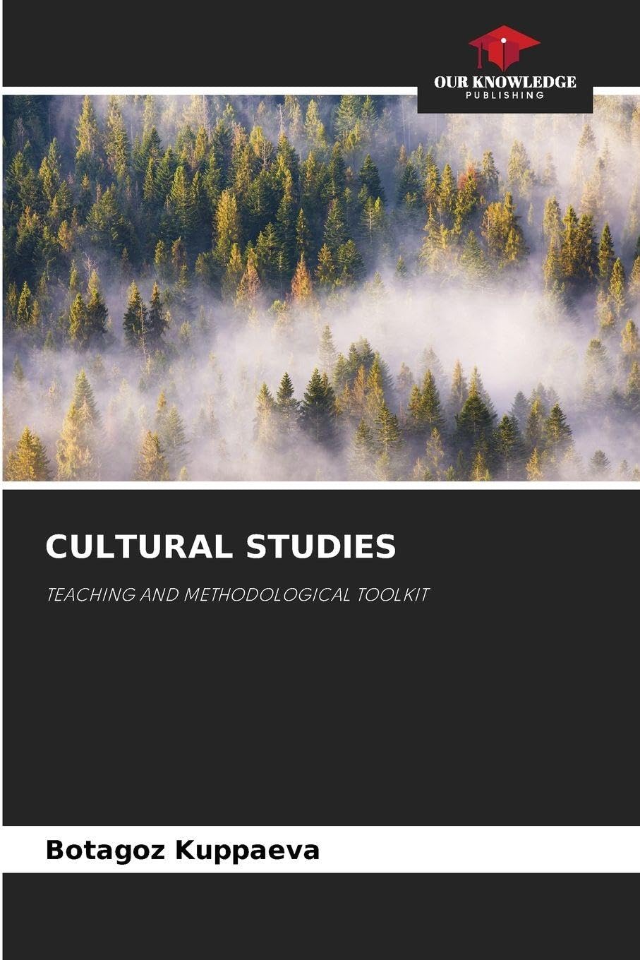 Cultural Studies: TEACHING AND METHODOLOGICAL TOOLKIT