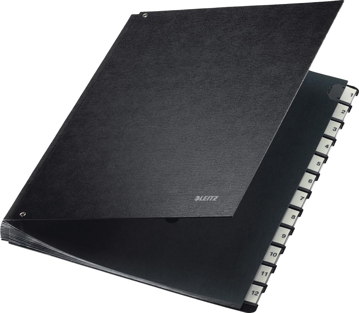 Leitz Pressboard Desk File