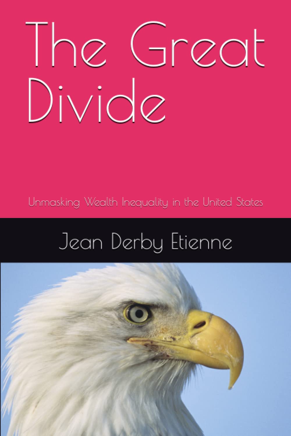 The Great Divide: Unmasking Wealth Inequality in the United States ...