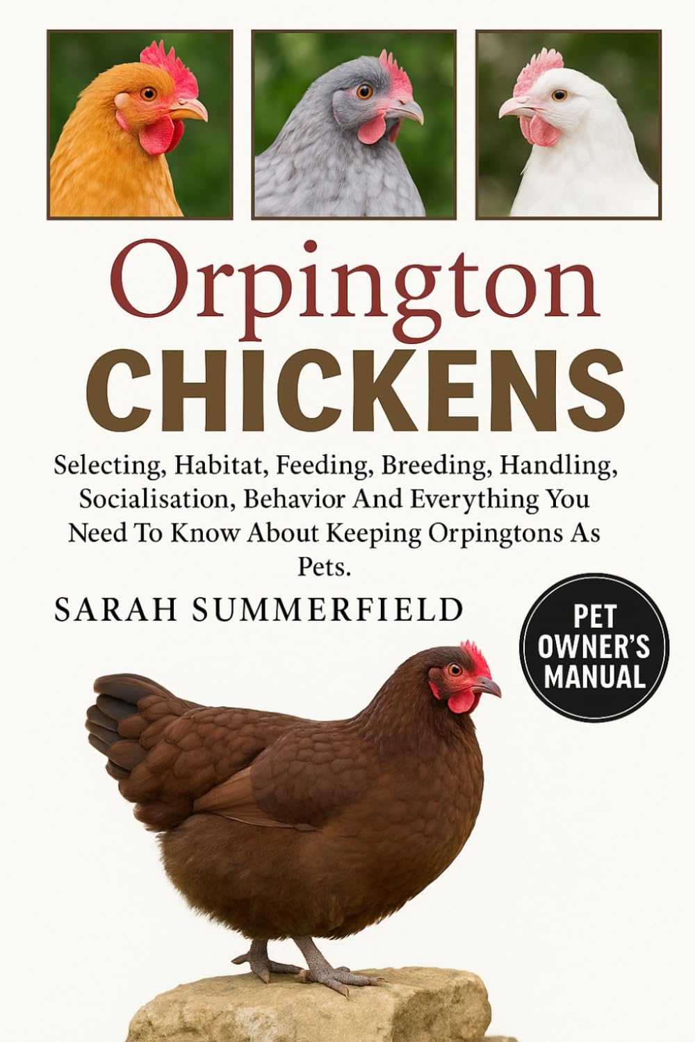 Orpington Chicken: Selecting, Habitat, Feeding, Breeding, Handling, Socialization, Behavior and Everything You Need to Know About Keeping Orpington as Pets.