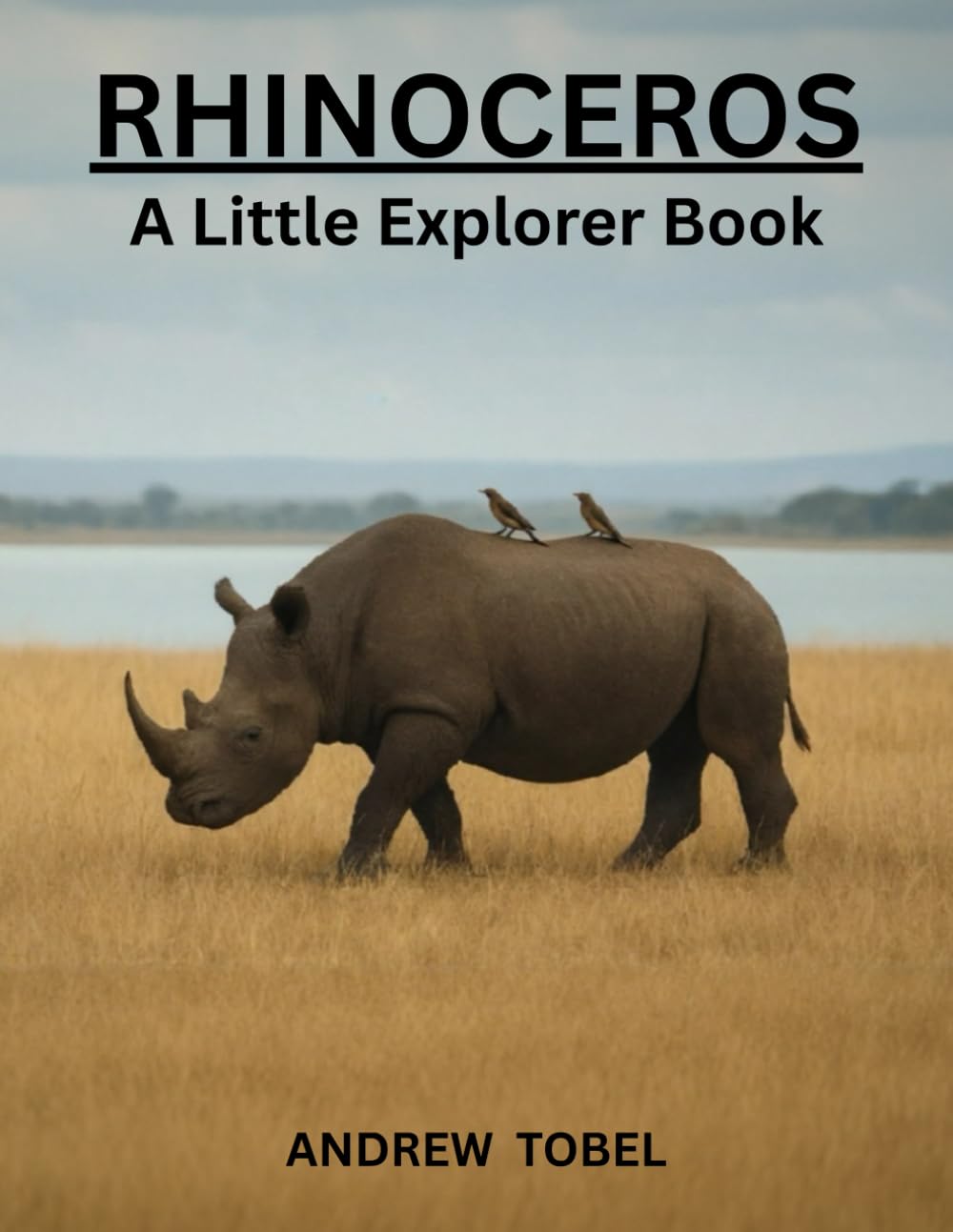 RHINOCEROS (LITTLE EXPLORER BOOKS)