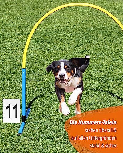 SPORTIKEL24 Nummerntafeln 1–25 – wetterfeste Kunststoff-Dreieckstafeln – 10 x 15 cm – für Agility, Parcours & Turniere