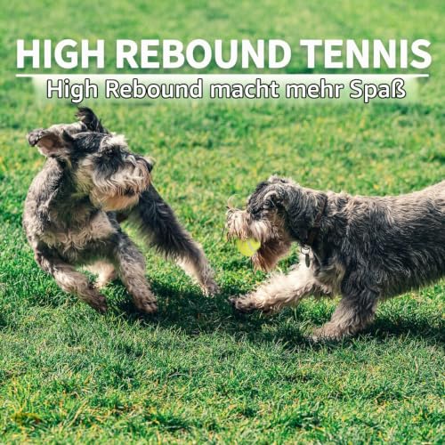 ALL FOR PAWS Hundetennisbälle Premium Qualität, Ballwurfmaschine Hund, Kong Ball, Hunde Ballwurfmaschine, Super Bouncy und Durable Gummibälle für Hunde - 6-Pack Maxi Ball Launcher Tennisball