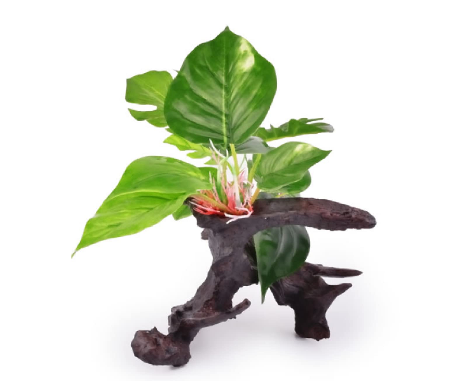 Decorazioni Acquario Arredamento Acquario Arredi Per Acquario Ornamenti Di Simulazione Del Paesaggio Del Serbatoio Di Pesce Pacchetto Di Decorazione Piante Acquatiche Finte Rhododendron Root Tree Fore