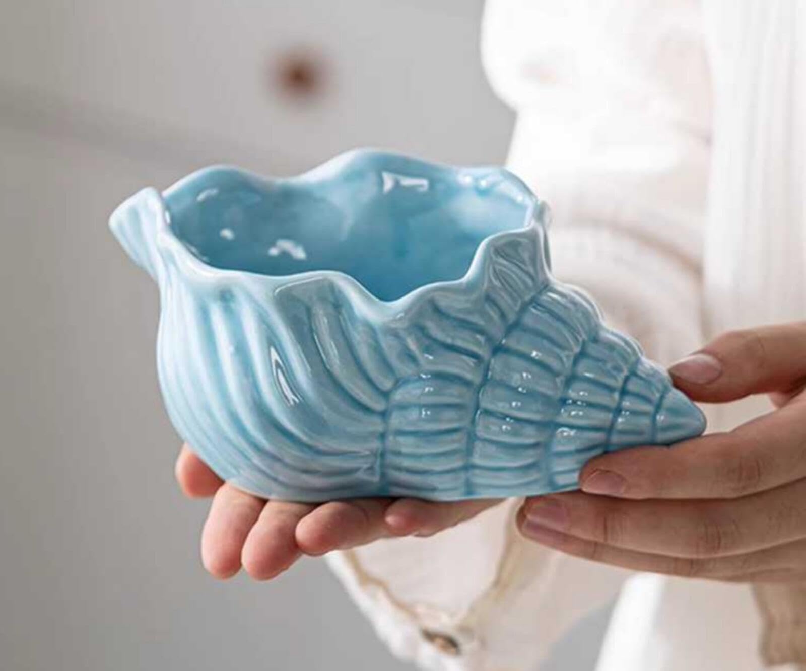 巻き貝の灰皿 Amazon.co.jp: セラミック巻貝灰皿 家のもの オーシャンプランター