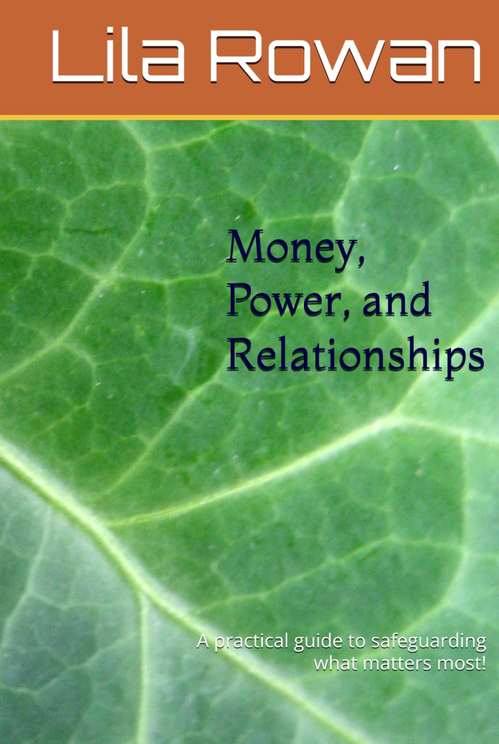 Money, Power, and Relationships: A practical guide to safeguarding what matters most!