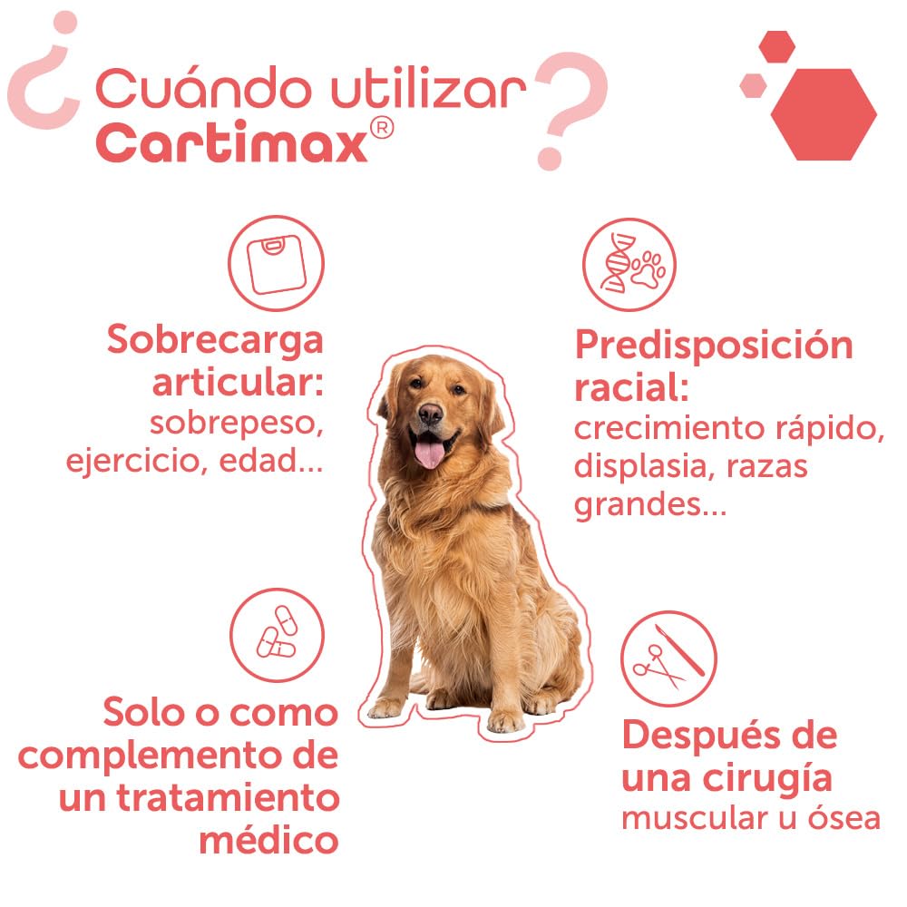MP Labo Cartimax® - Apoyo de la función Articular para Perros y Gatos - Glucosamina, harpagofito, Reina de los prados, bambú y oligoelementos (250 cápsulas)