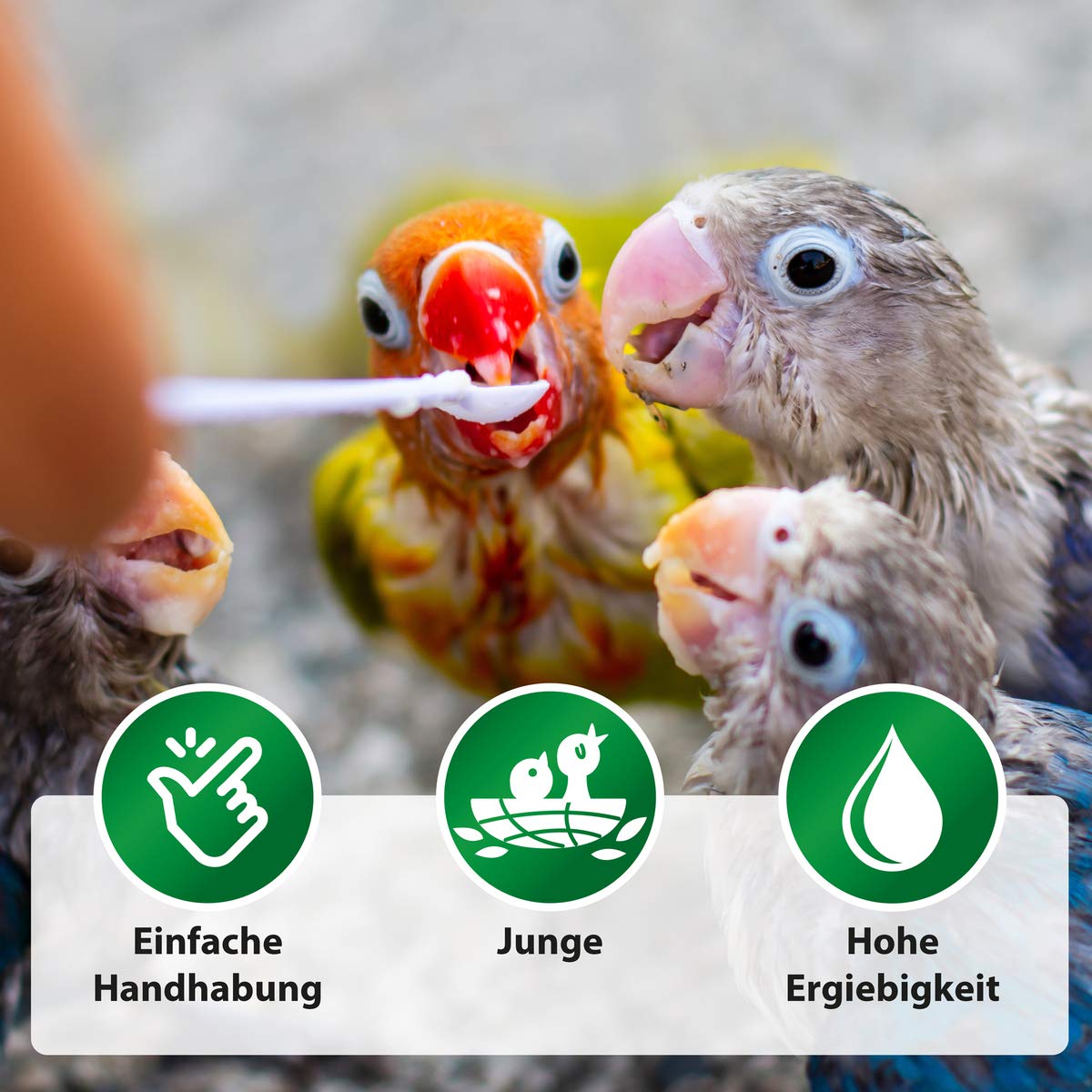 Röhnfried CropMilk 600 g | Préparation d'élevage pour nids | poussins de pigeons | élevage et développement optimal | Riche en nutriments