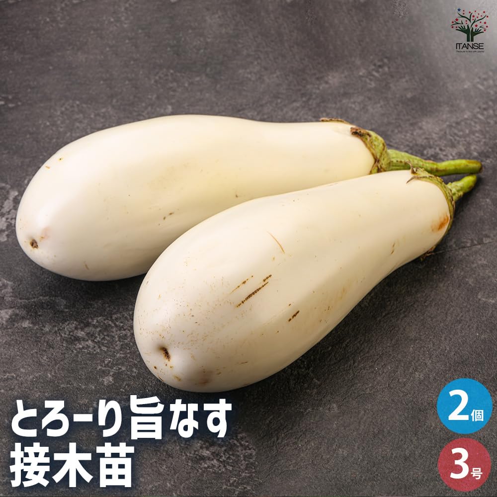 しろなすです。 Amazon.co.jp: ITANSE ナスの苗 とろーり旨なす(楕円白なす
