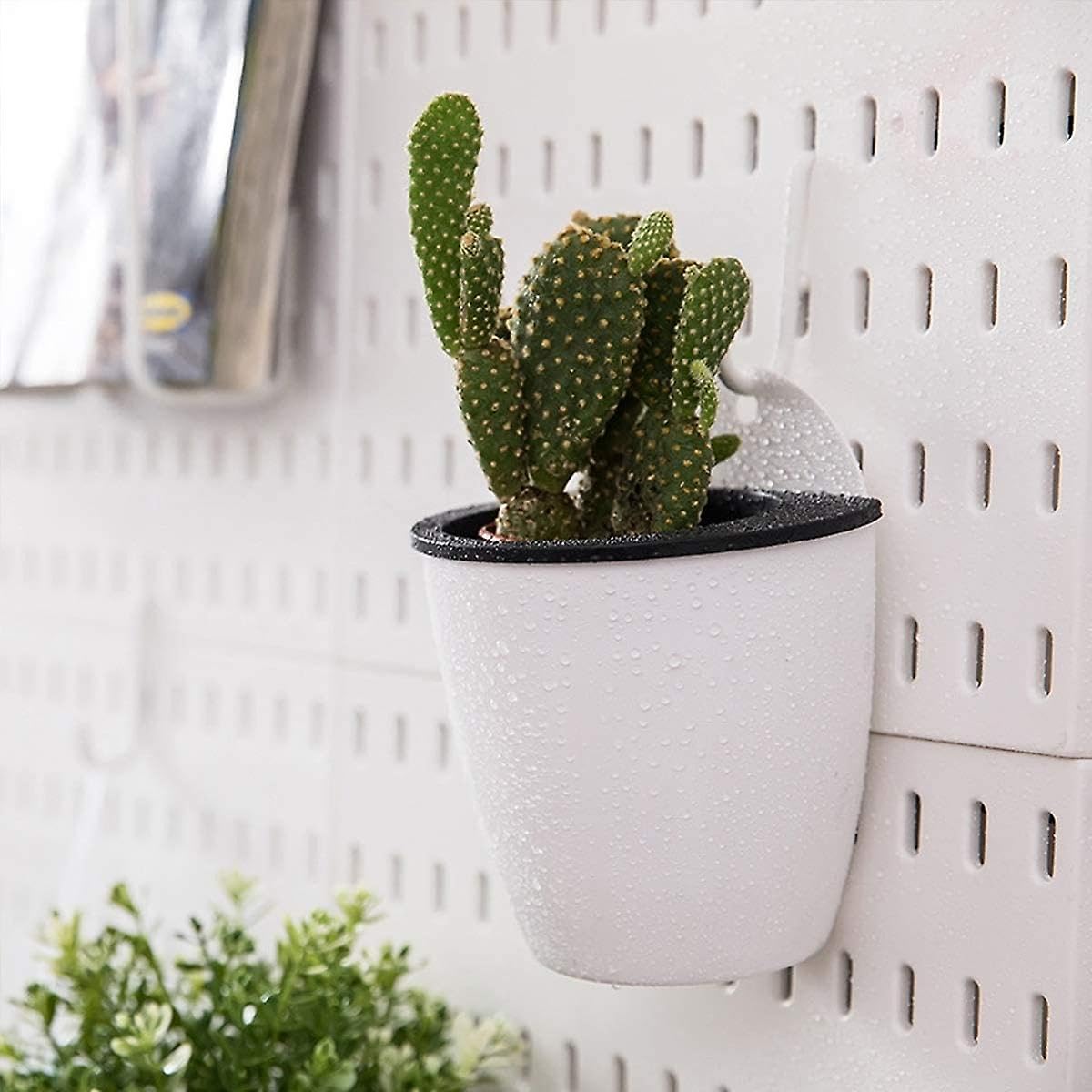Fresh Feels™ (Pack of 3) Self Watering Pots for Plants and Pots | Premium Flower Pots | Indoor Pots for Living Room (5.5 Inch Width * 6.5 Inch Height) - [Note: Plants are not Included] (B0CRHNCBCC) Amazon Price History, Amazon Price Tracker
