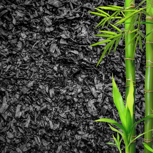 GARDENWISE Horticultural Charcoal for Plants – Organic Bio Char Soil Amendment for Terrariums, Indoor Plants & Gardening, Made in USA (1 Quart)