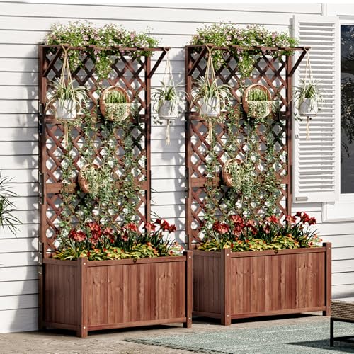 Amerlife 2-Piece Raised Garden Bed with Trellis, 35.4x17.7x72 Inch Planter Boxes with Drainage Holes for Vegetables and Climbing Plants