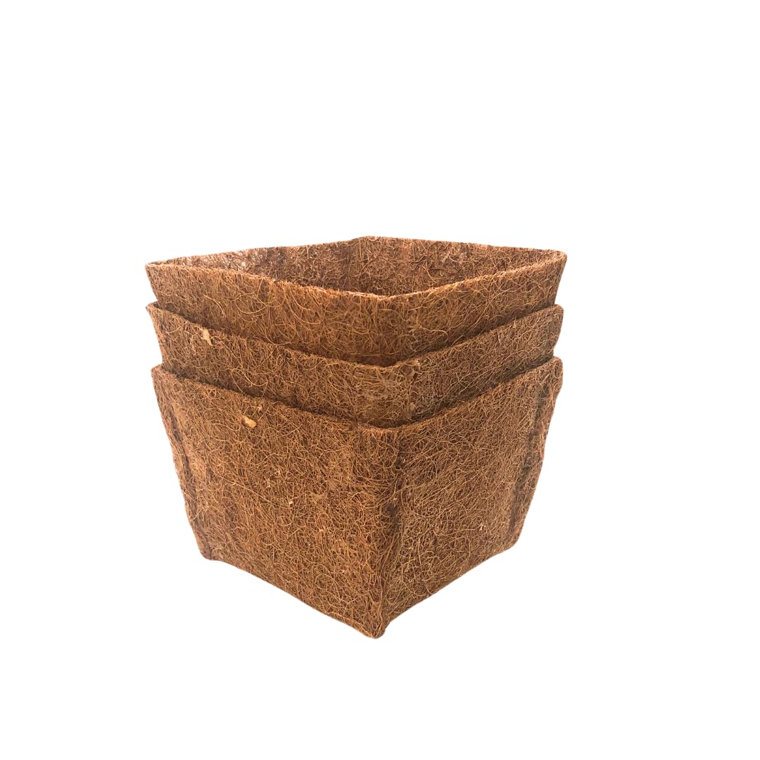 Iflo Flexibel gestaltbare Pflanzkörbe (25 x 25 x 18 cm) für Gartenteiche: mit und ohne Kokos-Einlegematte erhältlich. Ideal für Seerosen und andere Teichpflanzen (5 Einlegematten)