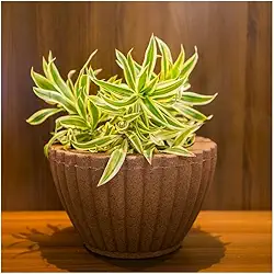 VASOS POLIETILENO BACIA GREGA DECORATIVO P/PLANTAS/JARDINS/ESCRITÓRIOS LUXO (MARROM)