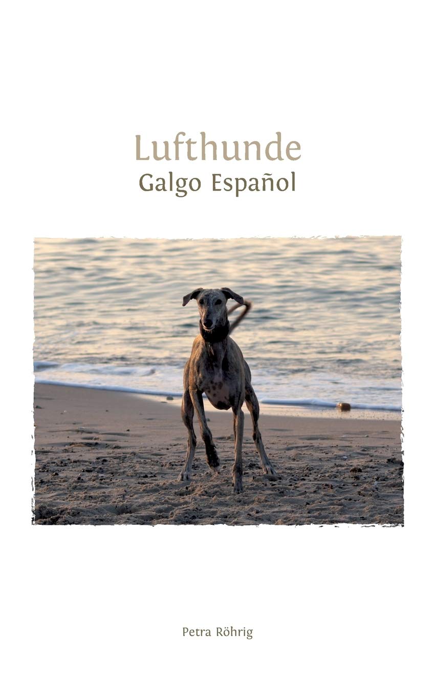 Lufthunde: Galgo Español