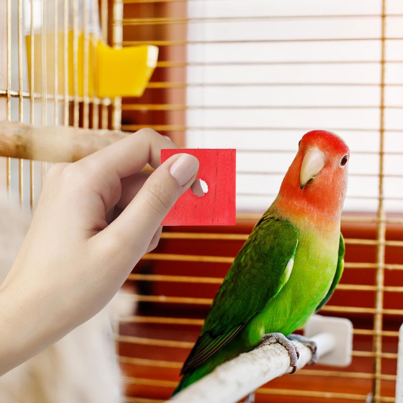 SUPVOX Lot de 100 blocs à mâcher en bois pour oiseaux : jouets pour perroquets, jouets pour perroquets à faire soi-même pour déchiquetage de grands oiseaux (couleurs mélangées)