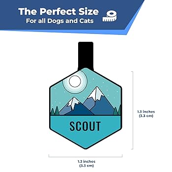 Amazon.com : GoTags Silent Dog Tag, Personalized Engraved