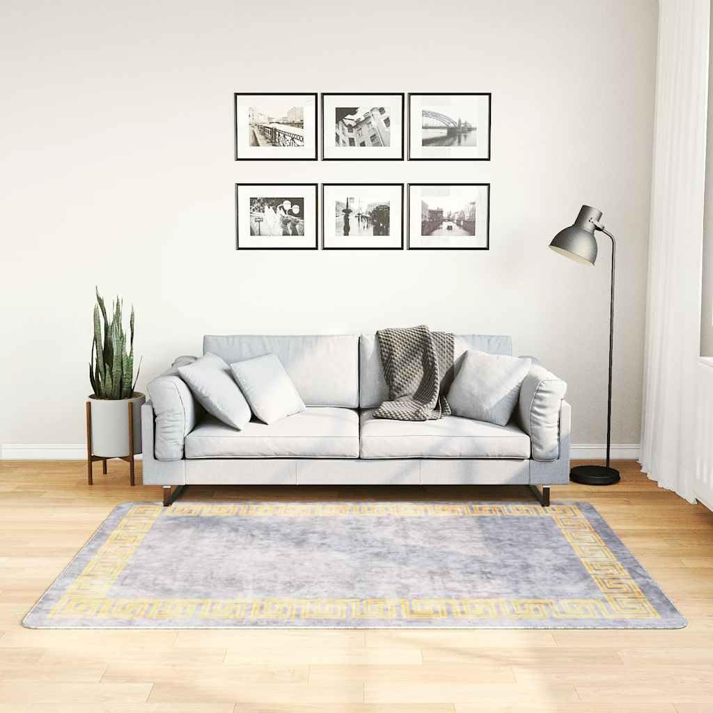 Tapis lavable gris 120x180cm grand tapis de salon antidérapant velours doux
