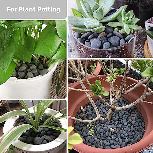 Image of 18lb Small Smooth River Rocks Pebbles for Plants & Succulents, Decorative Outdoor Landscaping Garden Rocks, Natural Mexican Beach Pebbles, Gravel for Aquarium, Fish Tanks, Vase and Yard Decor