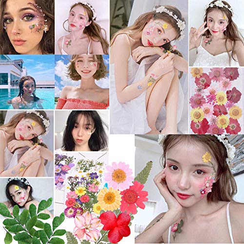 image for Purple 51pcs Real Dried Pressed Flowers Leaves Petals,Josisi Colorful 