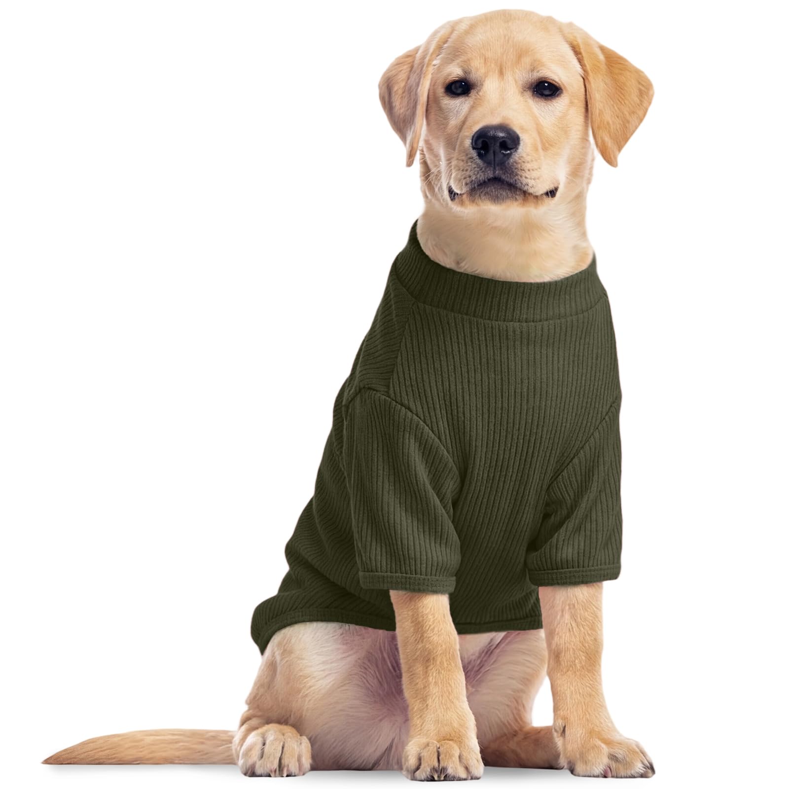XXL Dog T-Shirt, Comfortable Knit Jumper for Golden Labrador Dalmatian Small Adults, Lightweight Pet Sweater Tee, Stylish Puppy Top, Indoor & Outdoor Comfort, Forest Moss XXL