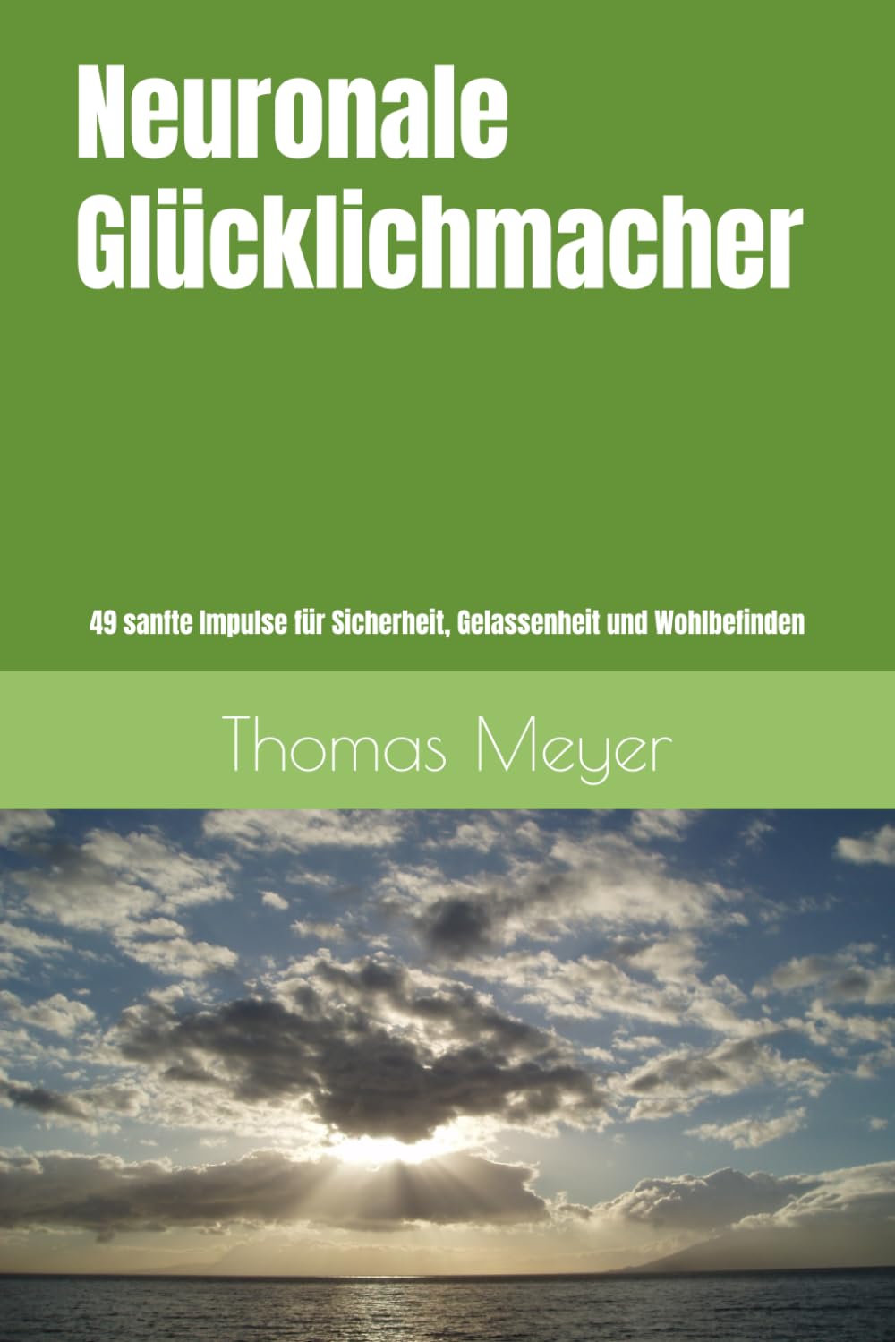 Neuronale Glücklichmacher: 49 sanfte Impulse für Sicherheit, Gelassenheit und Wohlbefinden