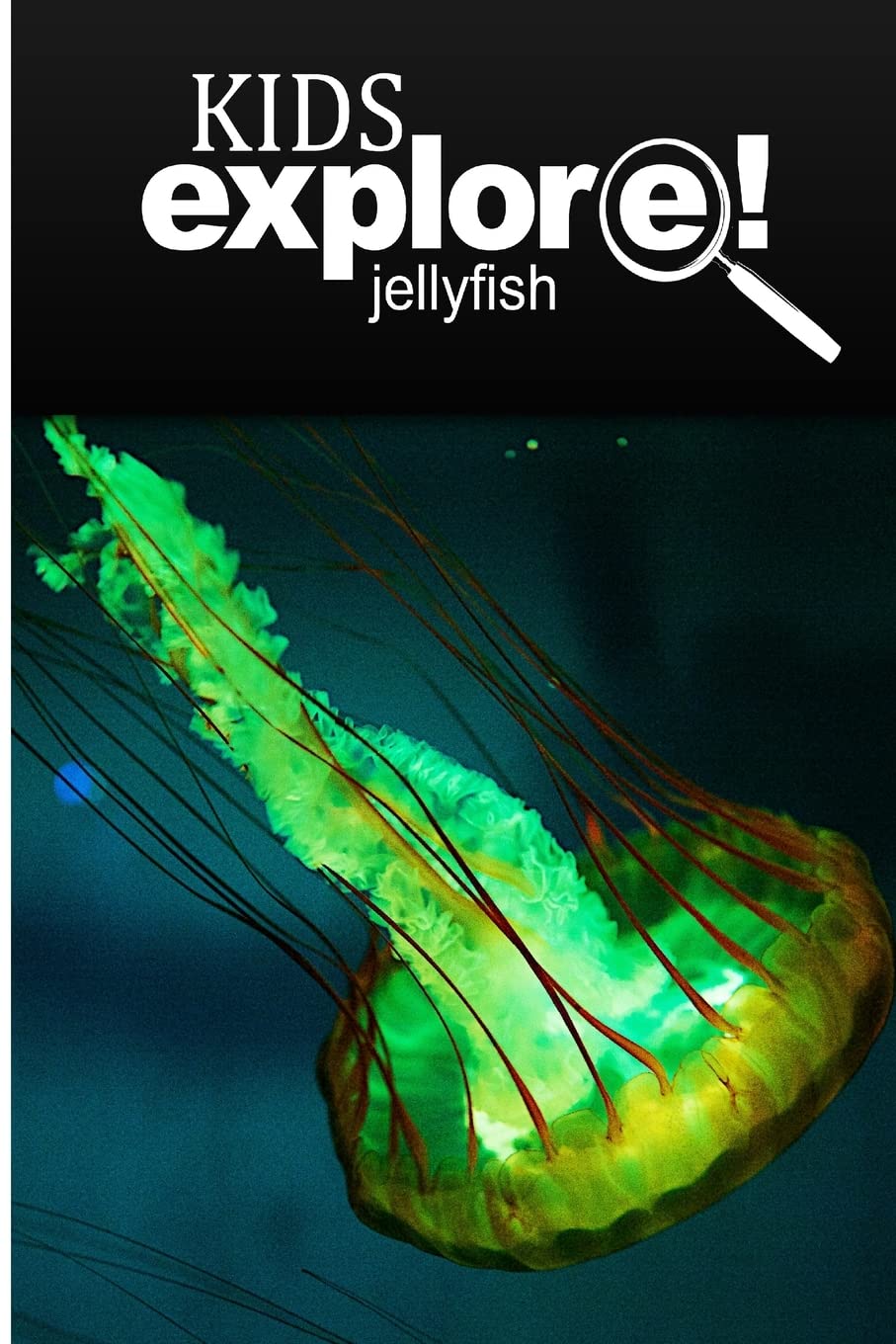 Jellyfish - Kids Explore: Animal books nonfiction - books ages 5-6