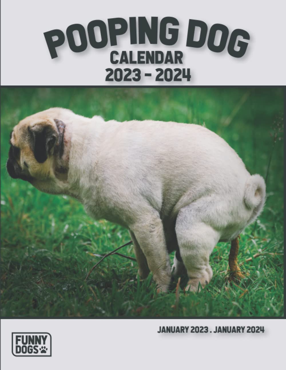 Why Do Dogs Look At You When You Poop