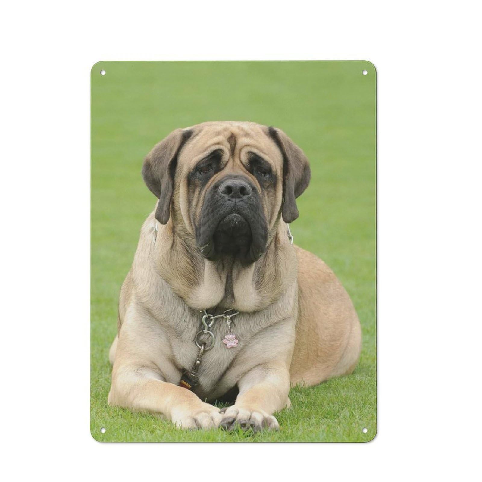 Junmoney Style Vintage Tin Sign 40X30cm With English Mastiff For Guest Room Or Hallway, For Retro Home Interiors, For Garage And Workshop Walls
