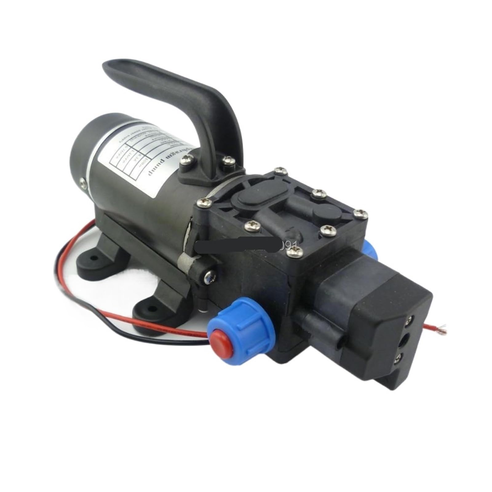100 W 8 Lpm mała membrana wodna 12 V 24 V, automatyczny przełącznik ciśnieniowy, samozasysająca pompa natryskowa (typ zaworu zwrotnego, 24 V)